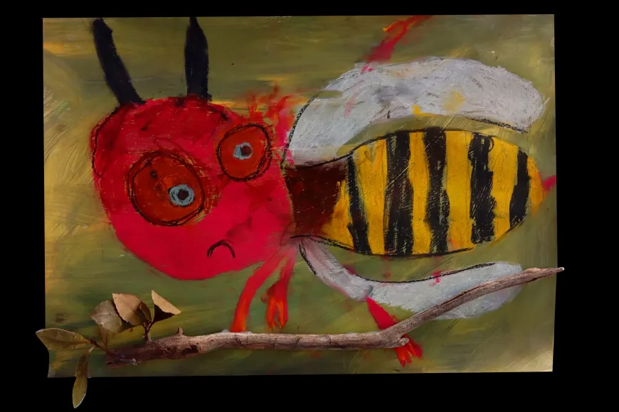 art_i_natura art_i_natura